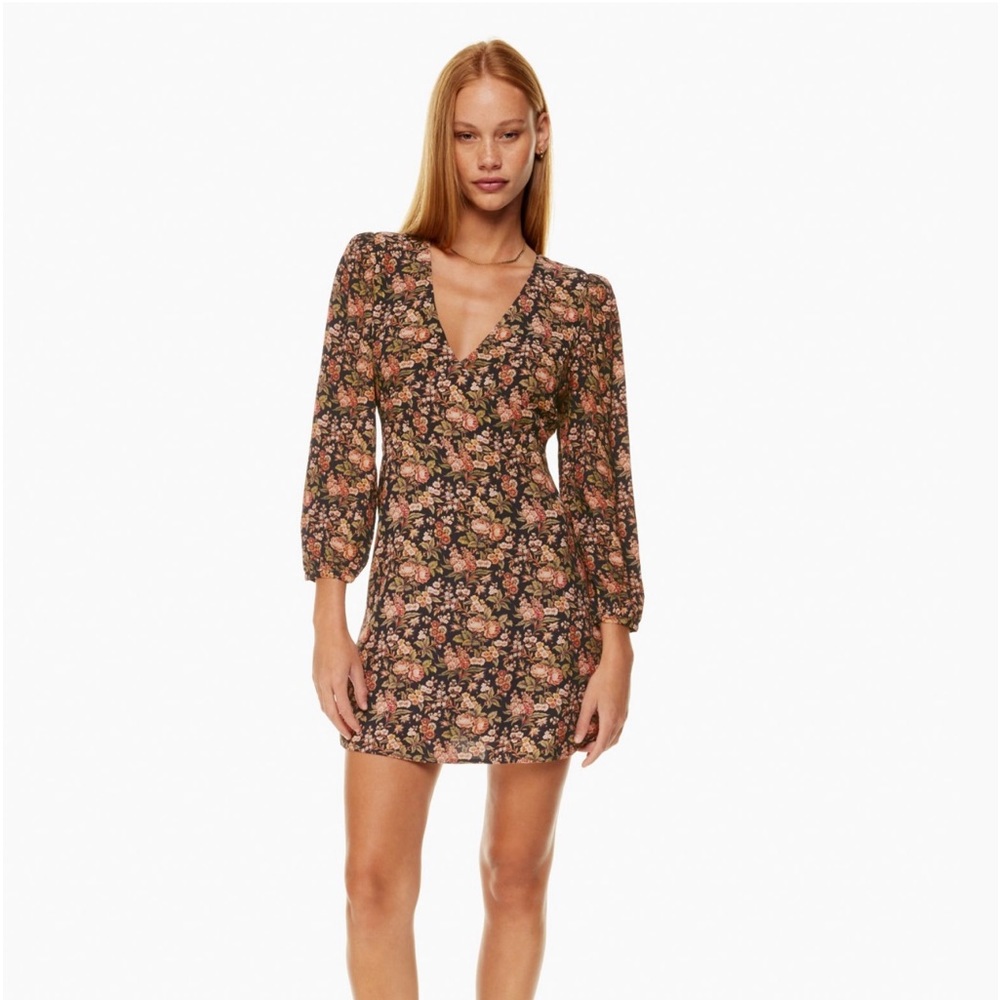 Aritzia Sunday Best Grayson Dress